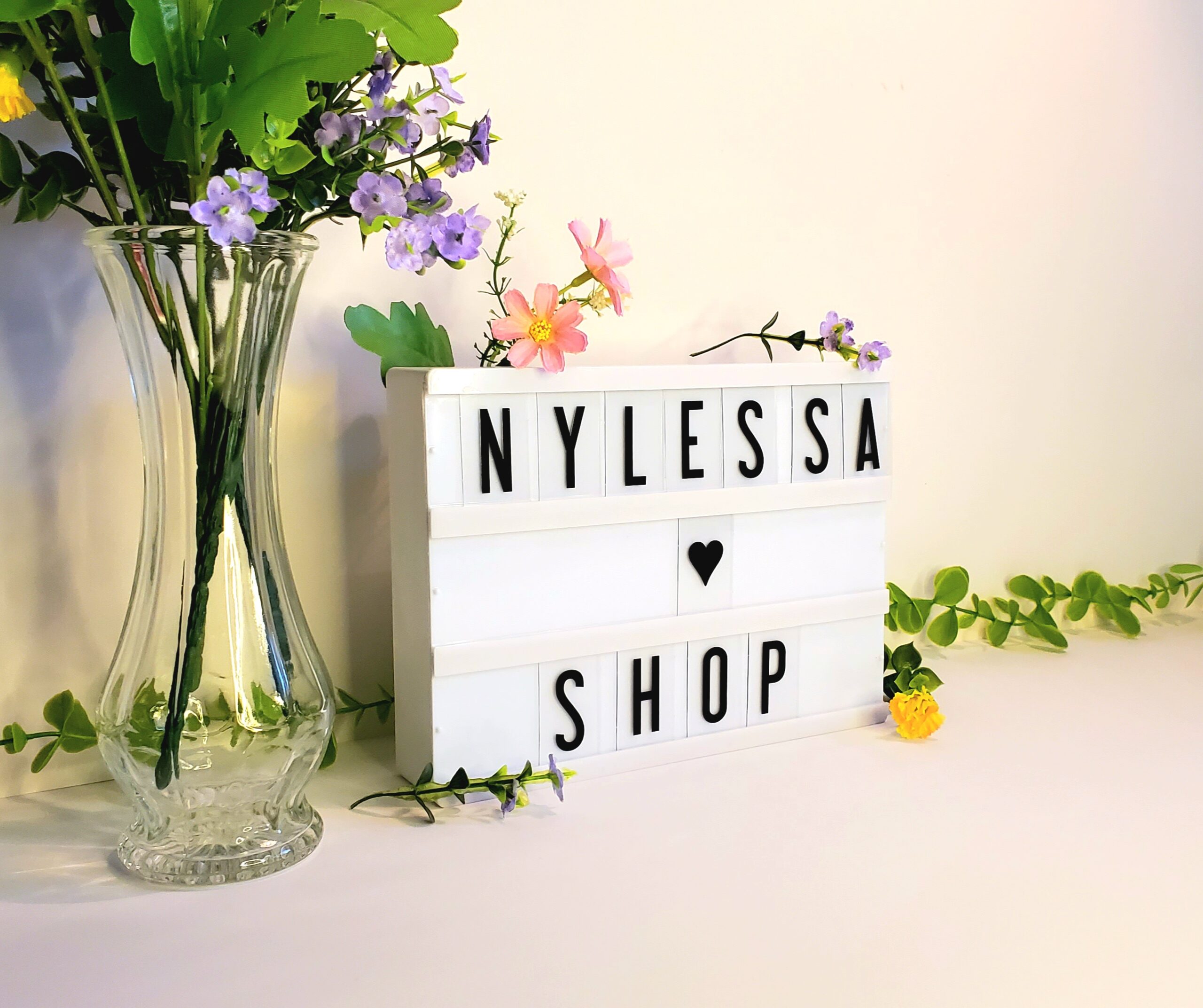 nylessa conception graphique